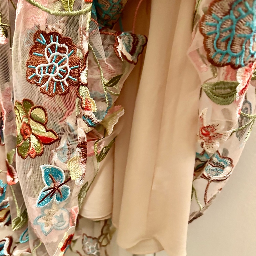 Naked dress.  Beige Maxi Dress with Multicolor Floral Embroidery - Picture 6 of 12